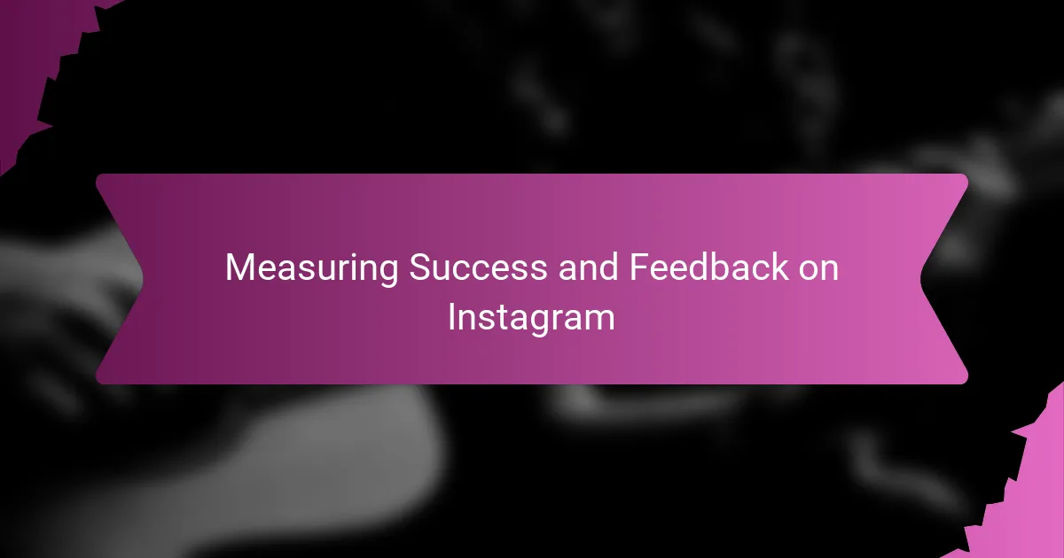 Measuring Success and Feedback on Instagram