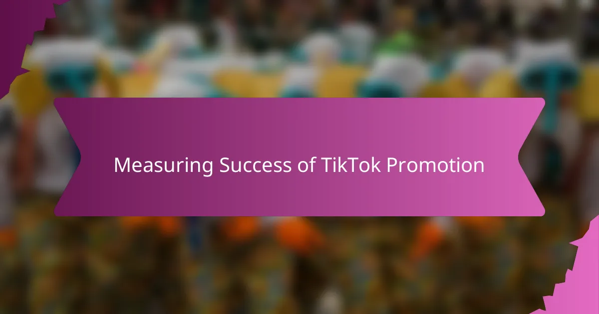 Measuring Success of TikTok Promotion
